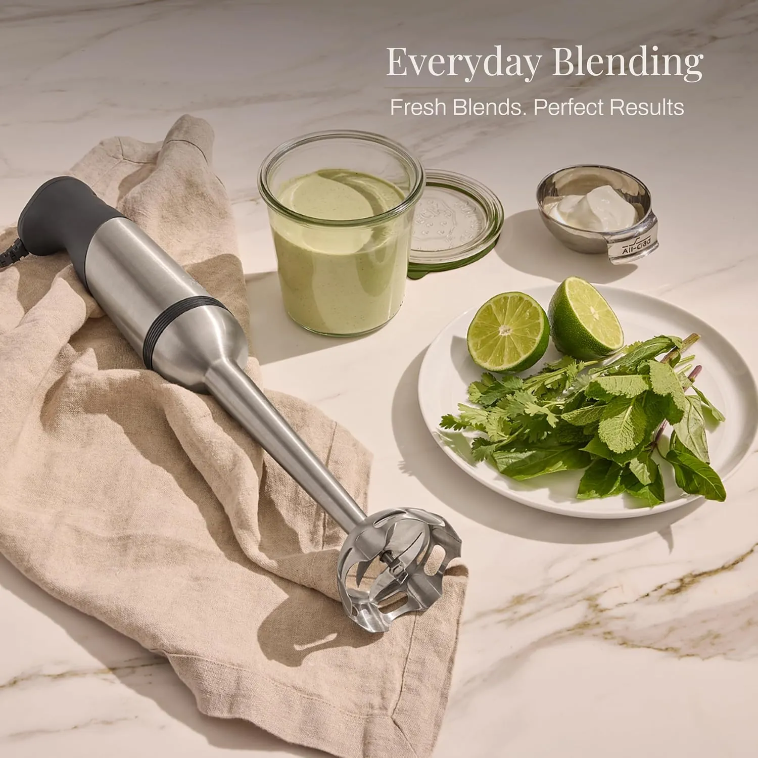 All-Clad Stainless Immersion Blender, 600W Turbo