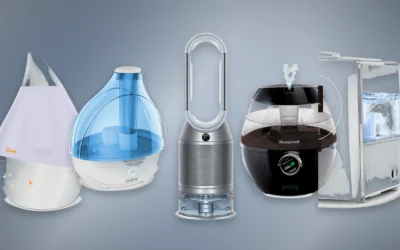 The Ultimate Guide to the Top 10 Humidifiers